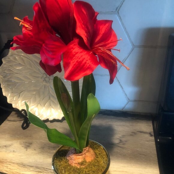 THRESHOLD CHRISTMAS ARTIFICIAL RED AMARYLLIS IN GOLD POT NEW - Picture 4 of 6